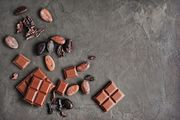 Pieces of chocolate bar and cocoa beans