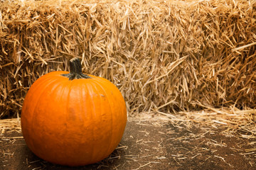 Pumpkin on hay