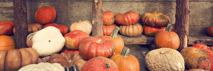 Diverse assortment of pumpkins