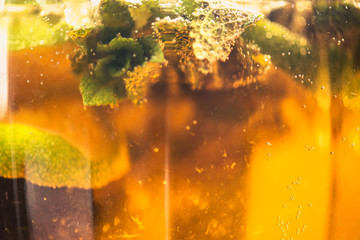 Carbonated soda water or juice with lime and mint in a glass jug. Macro closeup