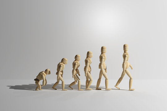 Wooden mannequin prototype of human evolution