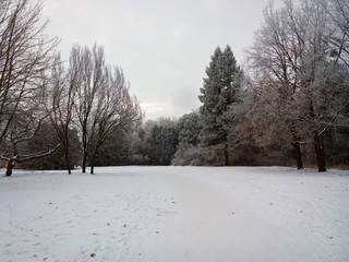 Fototapeta na wymiar Winter in the park.