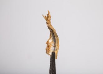 fried fish on a fork