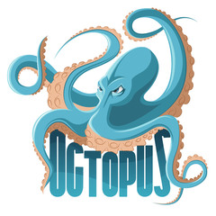 Colored cartoon octopus