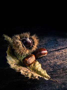 Natura morta con castagne