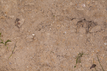 yellow sand with stones and grass