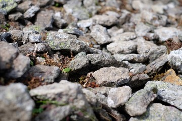 The texture of small stones