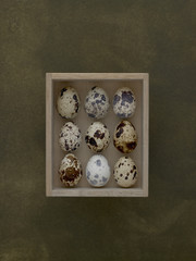 整列した9個のウズラの卵　箱入り　シーモス・グリーンの背景　Japanese quail 's egg