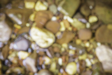 Blur colourful background, blur Nature.