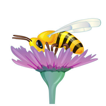 cute bee that gathers pollen on a flower