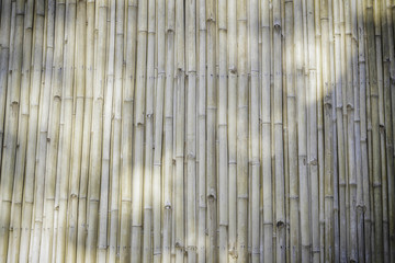 Bamboo wall background, texture.