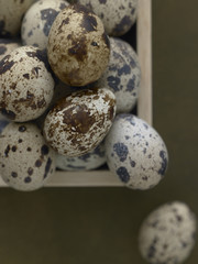 Obraz premium ウズラの卵 Japanese quail 's egg シーモス・グリーンの背景