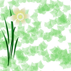 pastel spring bloom on ivy background illustration