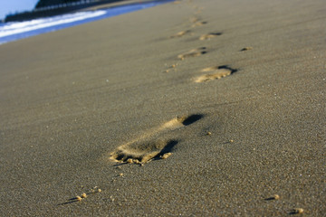 My Footprint