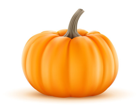 6 428 Best Citrouille Images Stock Photos Vectors Adobe Stock 6 428 Best Citrouille Images Stock Photos Vectors Adobe Stock