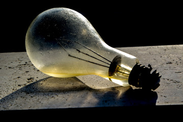 bulb