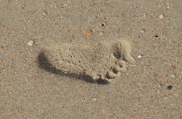 Следы на песке/Footprints in the sand