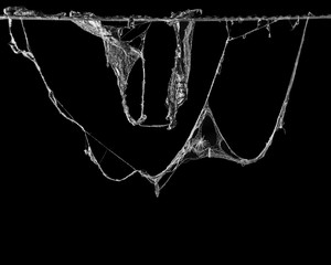 cobweb or spider web isolated on black background