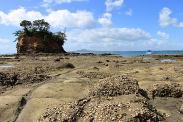 Waiake beach in Torbay