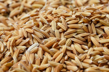 background dry paddy