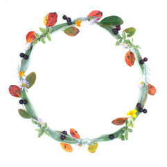 Round frame wreath of autumn leaves, flowers and berries isolated on white background. flat lay, top view 