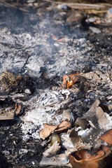 Burned charcoal and ash from fire