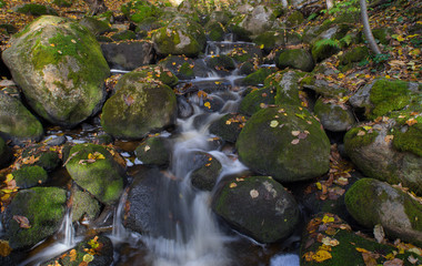 Water stream with green stones and fall yellow leavs.