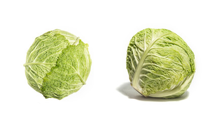 Kale or cabbage isolated on white