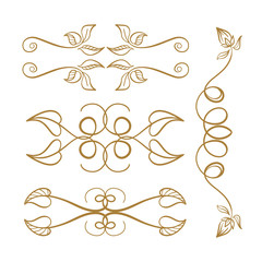 Vector calligraphy elements set.