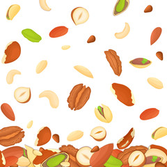 Vector illustration of falling nuts. Background of a cashew, brazilnut, walnut, hazelnut, peanut, pistachios almond nut on white pattern. Nuts elements of packaging design, brochures on healthy eating