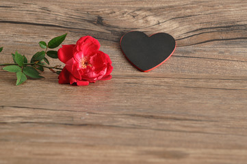 Valentine's Day. A red rose with a black heart