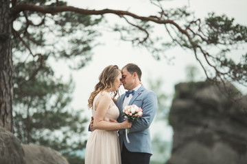 Wedding couple in love kissing and hugging near rocks on beautiful landscape