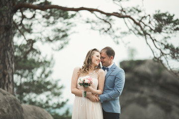 Gorgeous bride, groom kissing and hugging near the cliffs with stunning views