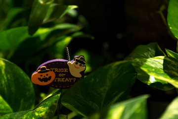 Halloween pumpkin party decoration