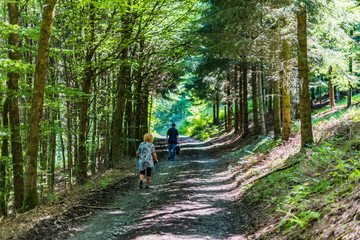 Wandern im Sauerland