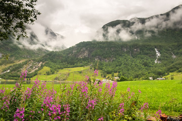 Fototapeta premium natural Hardangerfjord fjord landscape of norway