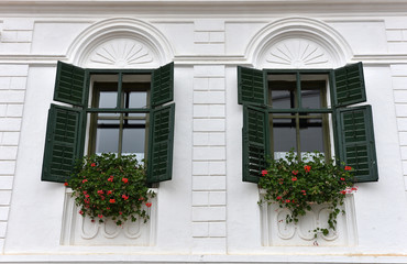 Wooden green window shutters and red flowers