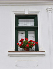 Fototapeta na wymiar Classic green wooden window frame and red flowers on a rural hou
