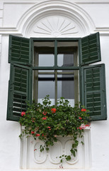 Wooden green window shutters on rural house
