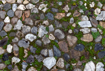 Old cobblestone background with grass