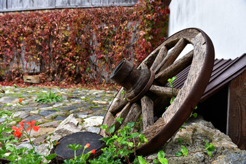 Antique wooden wheel covered with green ivy