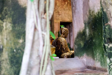 Ancient Buddha statue in old church which covered by banyan tree root at Wat Bang Kung at Amphawa in Thailand