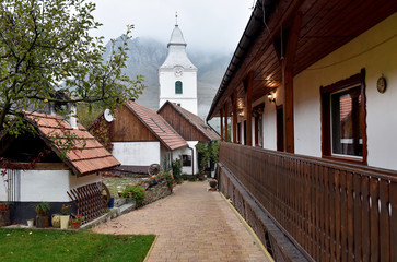 Rural back yard with decoration of vintage objects