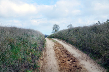 En enslig väg på lansbygden.