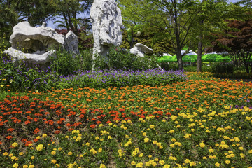 함평나비축제장