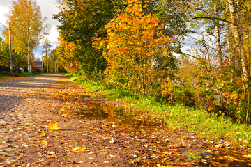 Autumn landscape