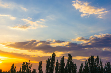 landscape with dramatic light