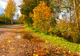 Fototapeta premium Autumn landscape