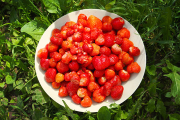 Fresh ripe strawberry