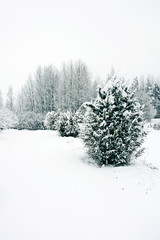 Winter landscape in Latvia, East Europe
